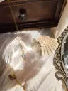 1000008206.webp